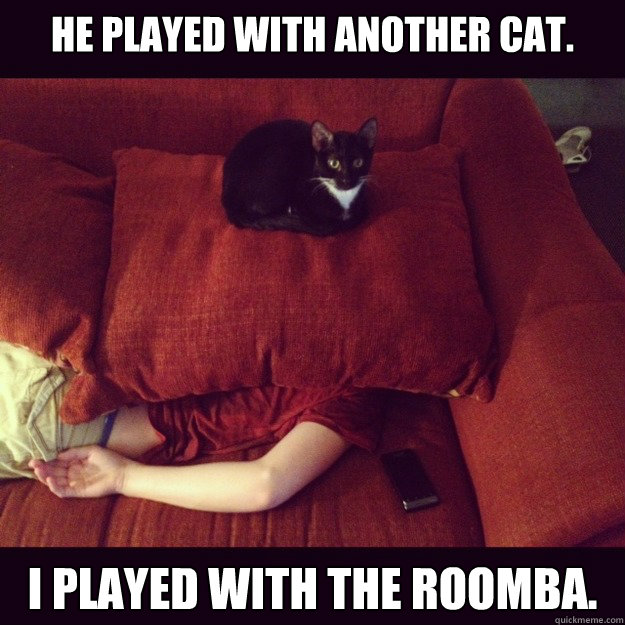 He played with another cat. I played with the Roomba.  jealous cat
