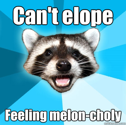Can't elope Feeling melon-choly  Lame Pun Coon