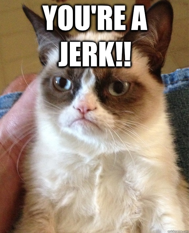 You're a jerk!!   Grumpy Cat