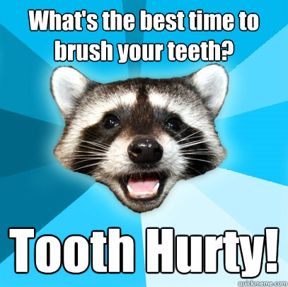 What's the best time to brush your teeth? Tooth Hurty!  Lame Pun Coon