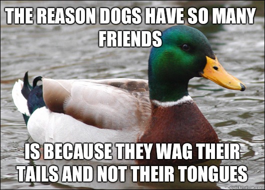 The reason dogs have so many friends Is because they wag their tails and not their tongues  Actual Advice Mallard