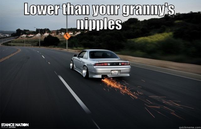 LOWER THAN YOUR GRANNY'S NIPPLES  Misc