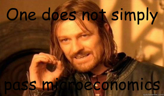 One does not simply pass microeconomics  Boromir