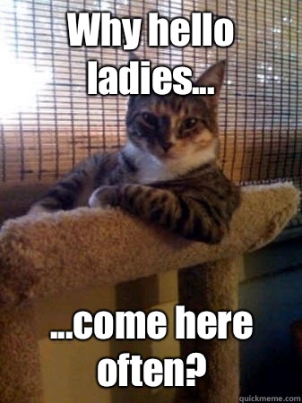 Why hello ladies... ...come here often?  The Most Interesting Cat in the World