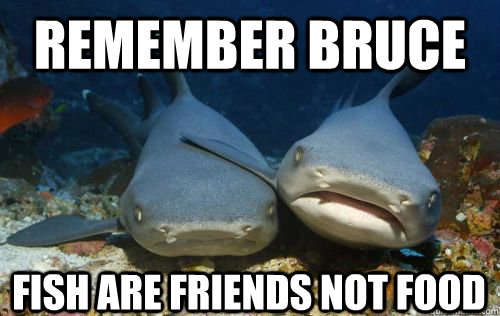 Remember bruce fish are friends not food  Compassionate Shark Friend