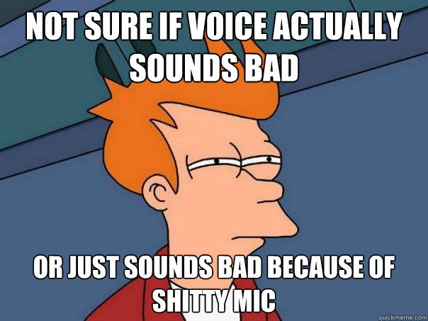 not sure if voice actually sounds bad or just sounds bad because of shitty mic - not sure if voice actually sounds bad or just sounds bad because of shitty mic  Futurama Fry