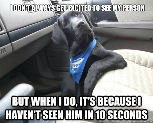 I don't always get excited to see my person but when I do, it's because I haven't seen him in 10 seconds - I don't always get excited to see my person but when I do, it's because I haven't seen him in 10 seconds  Misc
