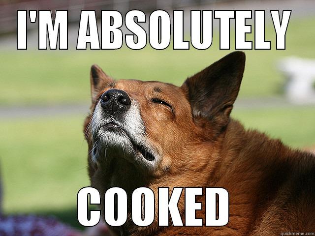 I'M ABSOLUTELY COOKED Misc