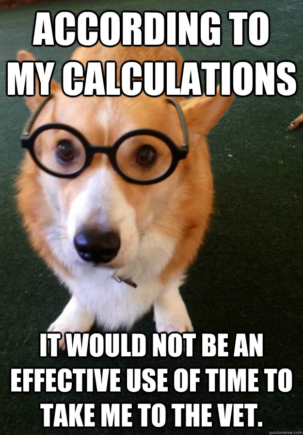 According to my calculations It would not be an effective use of time to take me to the vet