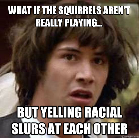 What if the squirrels aren't really playing... But yelling Racial Slurs at each other  conspiracy keanu