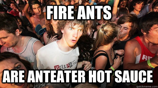 Fire ants Are anteater hot sauce  Sudden Clarity Clarence