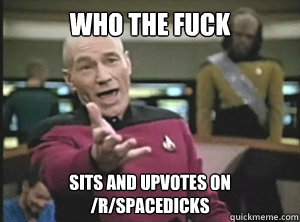 Who the fuck sits and upvotes on /r/spacedicks - Who the fuck sits and upvotes on /r/spacedicks  Annoyed picard about shitty watercolor and karmanaut
