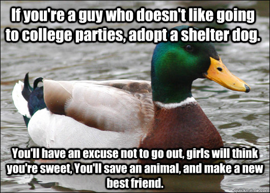 If you're a guy who doesn't like going to college parties, adopt a shelter dog. You'll have an excuse not to go out, girls will think you're sweet, You'll save an animal, and make a new best friend. - If you're a guy who doesn't like going to college parties, adopt a shelter dog. You'll have an excuse not to go out, girls will think you're sweet, You'll save an animal, and make a new best friend.  Actual Advice Mallard