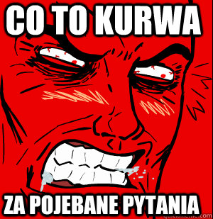 CO TO KURWA ZA POJEBANE PYTANIA - CO TO KURWA ZA POJEBANE PYTANIA  computer rage