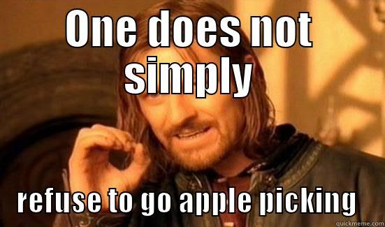 Apple picking  - ONE DOES NOT SIMPLY REFUSE TO GO APPLE PICKING Boromir