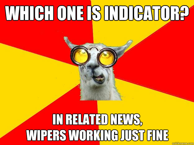 WHICH ONE IS INDICATOR? IN RELATED NEWS,
WIPERS WORKING JUST FINE  Learner Driver Llama