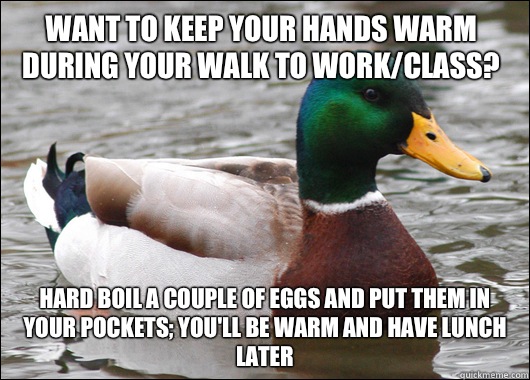 Want to keep your hands warm during your walk to work/class? Hard boil a couple of eggs and put them in your pockets; you'll be warm and have lunch later - Want to keep your hands warm during your walk to work/class? Hard boil a couple of eggs and put them in your pockets; you'll be warm and have lunch later  Actual Advice Mallard