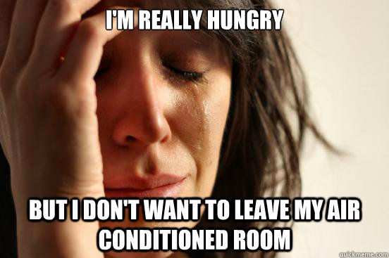 i'm really hungry but i don't want to leave my air conditioned room    First World Problems