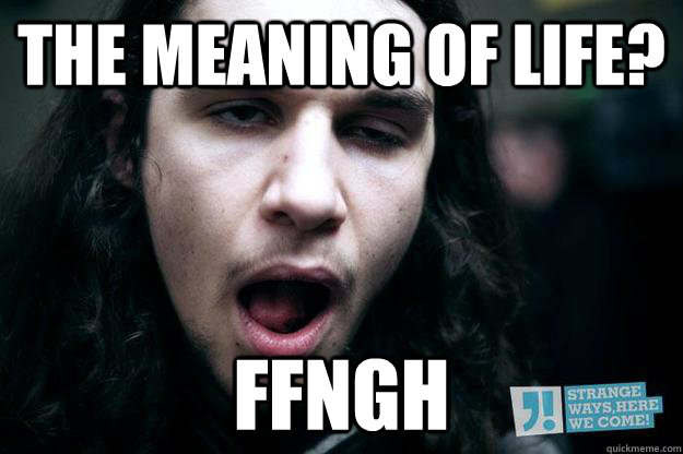 The meaning of Life? Ffngh - The meaning of Life? Ffngh  Wasted Long Haired Guy