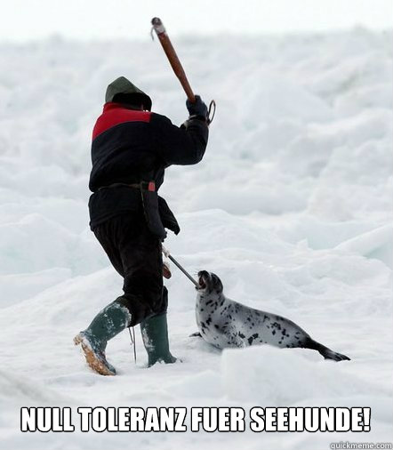 NULL TOLERANZ FUER SEEHUNDE! - NULL TOLERANZ FUER SEEHUNDE!  der seehund ist wieder.... weg!
