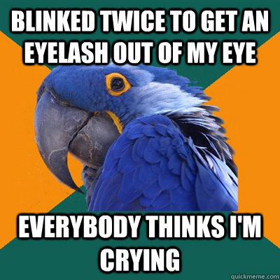 BLINKED TWICE TO GET AN EYELASH OUT OF MY EYE EVERYBODY THINKS I'M CRYING  Paranoid Parrot