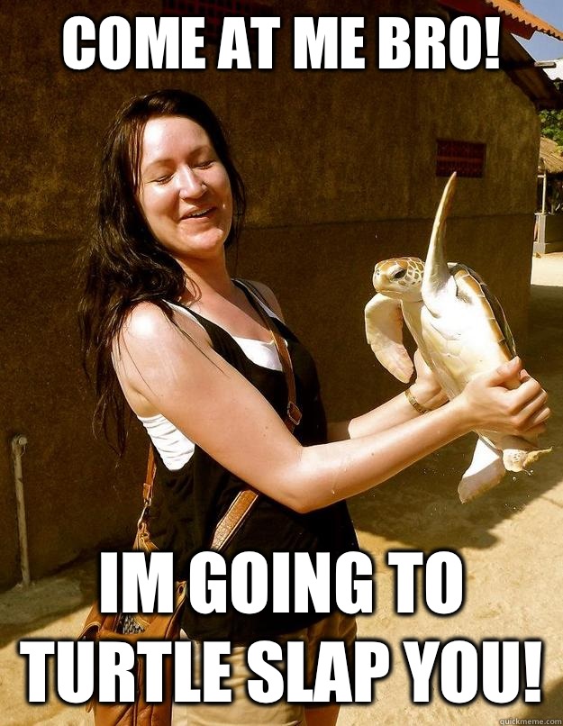 COME AT ME BRO! IM GOING TO TURTLE SLAP YOU!  Domestic Violence Turtle