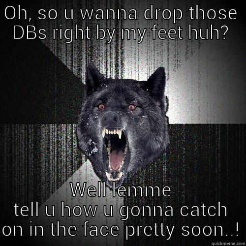 OH, SO U WANNA DROP THOSE DBS RIGHT BY MY FEET HUH? WELL LEMME TELL U HOW U GONNA CATCH ON IN THE FACE PRETTY SOON..! Insanity Wolf