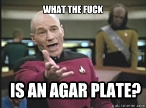 What the fuck Is an agar plate?  Annoyed Picard