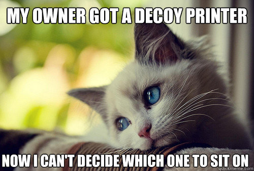 my owner got a decoy printer now I can't decide which one to sit on  First World Cat Problems