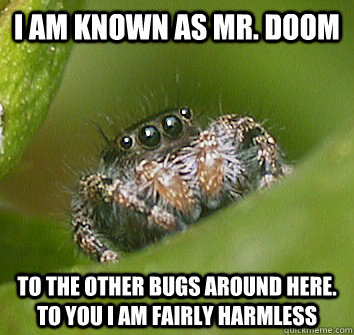 I am known as mr. doom to the other bugs around here. to you I am fairly harmless  Misunderstood Spider