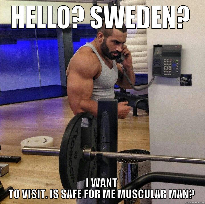 HELLO? SWEDEN? I WANT TO VISIT. IS SAFE FOR ME MUSCULAR MAN? Misc
