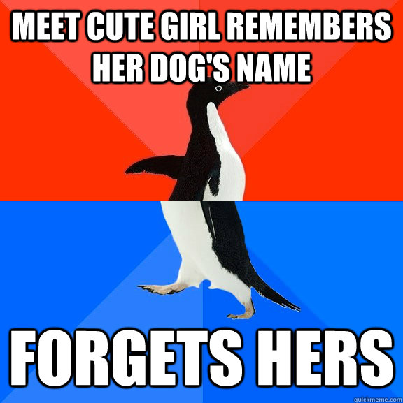 Meet cute girl remembers her dog's name forgets hers  Socially Awesome Awkward Penguin