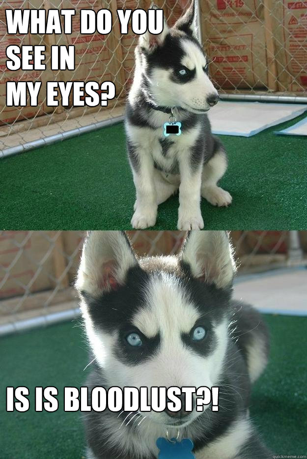 what do you 
see in 
my eyes? IS is bloodlust?!  Insanity puppy