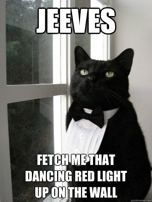 JEEVES Fetch me that
dancing red light
up on the wall - JEEVES Fetch me that
dancing red light
up on the wall  One Percent Cat