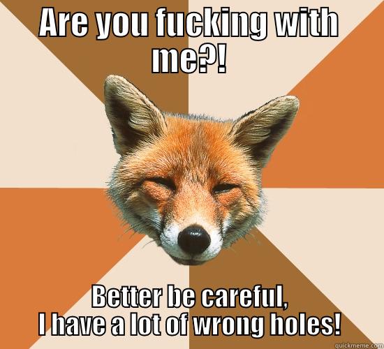 ARE YOU FUCKING WITH ME?! BETTER BE CAREFUL, I HAVE A LOT OF WRONG HOLES! Condescending Fox