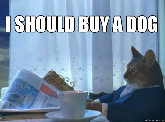 I should buy a dog  I should buy a cat