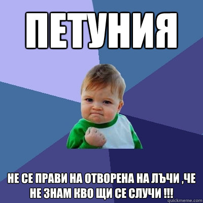 Петуния Не се прави на отворена на Лъчи ,че н  Success Kid