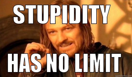 STUPIDITY  HAS NO LIMIT Boromir