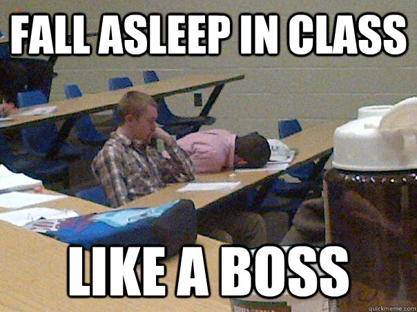 Fall asleep in class like a boss  