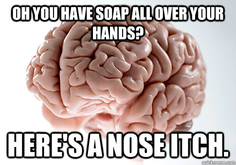Oh you have soap all over your hands? Here's a nose itch.  Scumbag Brain