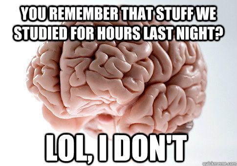 You remember that stuff we studied for hours last night? LoL, I don't  Scumbag Brain