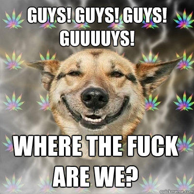 Guys! Guys! Guys! GUUUUYS! where the fuck are we? - Guys! Guys! Guys! GUUUUYS! where the fuck are we?  Stoner Dog