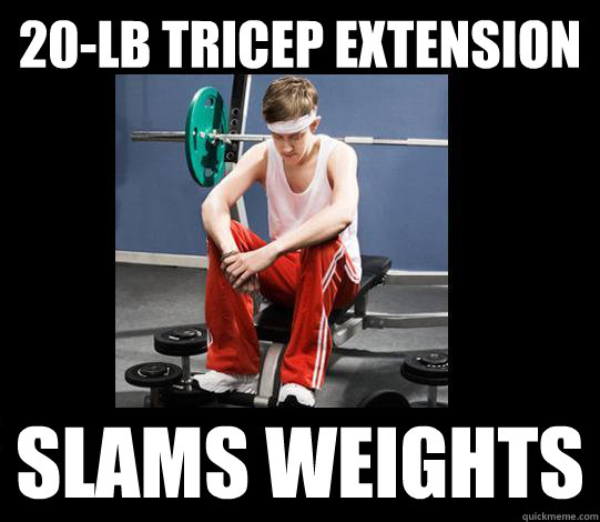 20-lb Tricep Extension Slams Weights  