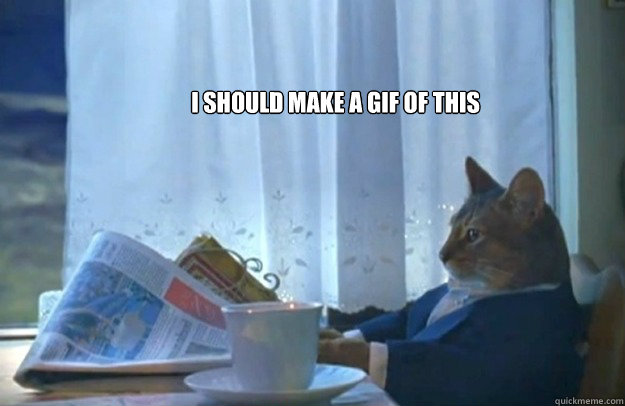 I should make a GIF of this  Sophisticated Cat