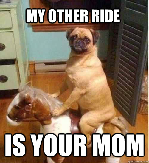 my other ride is your mom - my other ride is your mom  Pug on rocking horse