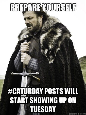 Prepare yourself #caturday posts will start showing up on Tuesday  Prepare Yourself