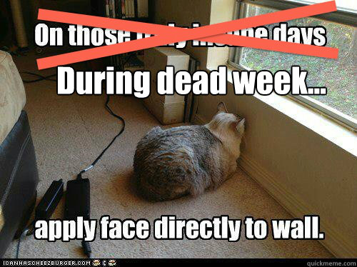 During dead week... - During dead week...  College Dead Week