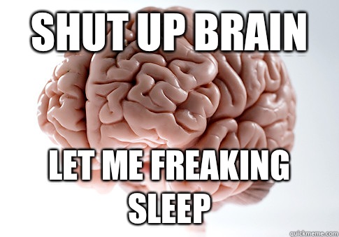 Shut up brain Let me freaking sleep - Shut up brain Let me freaking sleep  Scumbag Brain