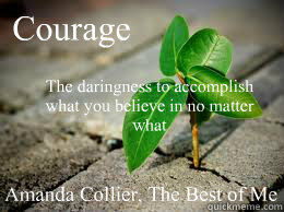 Courage The daringness to accomplish what you believe in no matter what Amanda Collier, The Best of Me  Courage