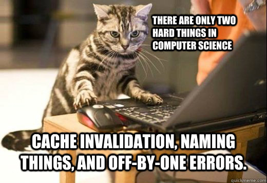 There are only two hard things in computer science cache invalidation, naming things, and off-by-one errors.  Angry Computer Cat